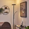 Wonsbek Floor Lamp LED black, 2-light sources