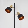 Pretoria Floor Lamp antique brass, black, 2-light sources