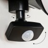 Kalfhaga Outdoor Wall Light black, white, 1-light source, Motion sensor