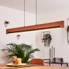 Inzino Pendant Light LED black, 1-light source