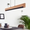Inzino Pendant Light LED black, 1-light source