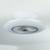 Chaville ceiling fan LED white, 1-light source, Remote control