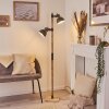 Orny Floor Lamp grey, Light wood, 2-light sources