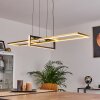 Omega Pendant Light LED black, 1-light source