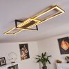 Omega Ceiling Light LED black, 1-light source