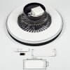 Qualiano ceiling fan LED black, white, 1-light source, Remote control