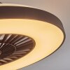 Qualiano ceiling fan LED black, white, 1-light source, Remote control