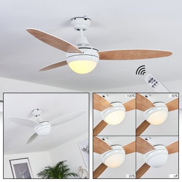 Beltiglio ceiling fan Dark wood, white, 2-light sources, Remote control