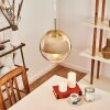 Degevos Pendant Light gold, 1-light source