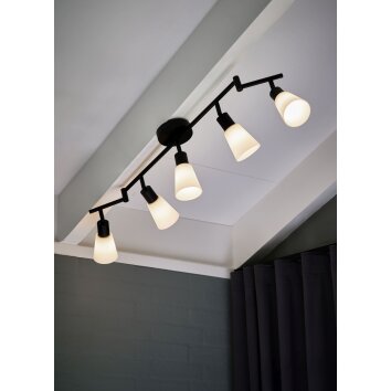 Nordlux COLE Ceiling Light black, 5-light sources
