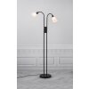 Nordlux MOLLI Floor Lamp black, 2-light sources