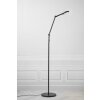 Nordlux BEND Floor Lamp LED black, 1-light source