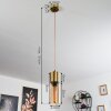 Dulcita Pendant Light gold, 1-light source