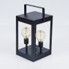 Sciolze solar light black, transparent, clear, 2-light sources