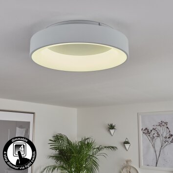 Pine Ceiling Light LED white, 1-light source