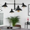 Fort Pendant Light black, 4-light sources
