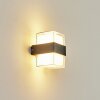 Cesta Outdoor Wall Light LED black, 2-light sources