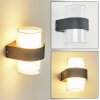 Cesta Outdoor Wall Light LED black, 2-light sources