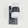 Tiarp Outdoor Wall Light LED black, 2-light sources, Motion sensor