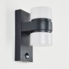 Tiarp Outdoor Wall Light LED black, 2-light sources, Motion sensor