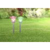 Globo MIYUGO Set of 2 solar lights LED stainless steel, 1-light source, Colour changer