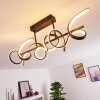 GORA Ceiling Light LED black, 3-light sources