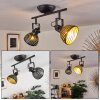 Osina Ceiling Light black, 2-light sources