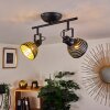 Osina Ceiling Light black, 2-light sources