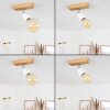 Musland Ceiling Light brown, chrome, 1-light source