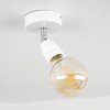 Musland Ceiling Light chrome, white, 1-light source