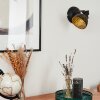 Osina Wall Light black, 1-light source