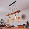 Canedo Pendant Light brown, black, 5-light sources
