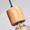 Canedo Pendant Light brown, black, 5-light sources