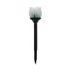 Eglo BLÜTE solar light LED black, 2-light sources, Colour changer