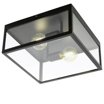 Eglo CHARTERHOUSE ceiling light black, 2-light sources