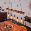 Canedo Pendant Light brown, black, 5-light sources