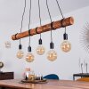 Canedo Pendant Light brown, black, 5-light sources