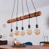 Canedo Pendant Light brown, black, 5-light sources