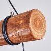 Canedo Pendant Light brown, black, 5-light sources