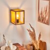 Torreglia Wall Light brown, 1-light source