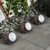 Sameo Set of 3 solar lights LED brown, 4-light sources