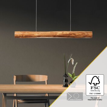 Brilliant Odun Pendant Light LED Light wood, black, 1-light source