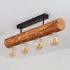 Canedo Ceiling Light black, 4-light sources