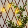 Trygsland solar light string LED gold, clear, 10-light sources