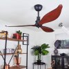 Torgnes ceiling fan brown, Wood like finish, black, Remote control