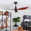 Torgnes ceiling fan brown, Wood like finish, black, Remote control