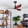 Torgnes ceiling fan brown, Wood like finish, black, Remote control