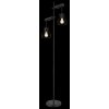 Globo MINA Floor Lamp black, 2-light sources