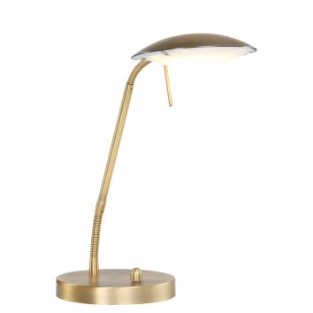 Steinhauer MEXLITE Table Lamp LED bronze, 1-light source