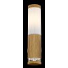 Globo JAICY Outdoor Wall Light Wood like finish, 1-light source
